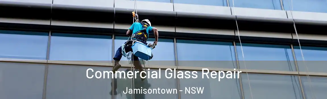  Commercial Glass Repair Jamisontown - NSW