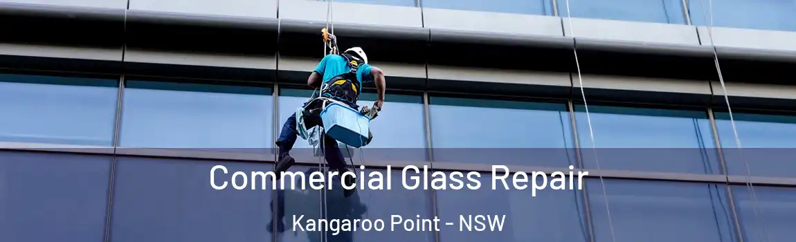  Commercial Glass Repair Kangaroo Point - NSW