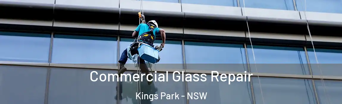  Commercial Glass Repair Kings Park - NSW