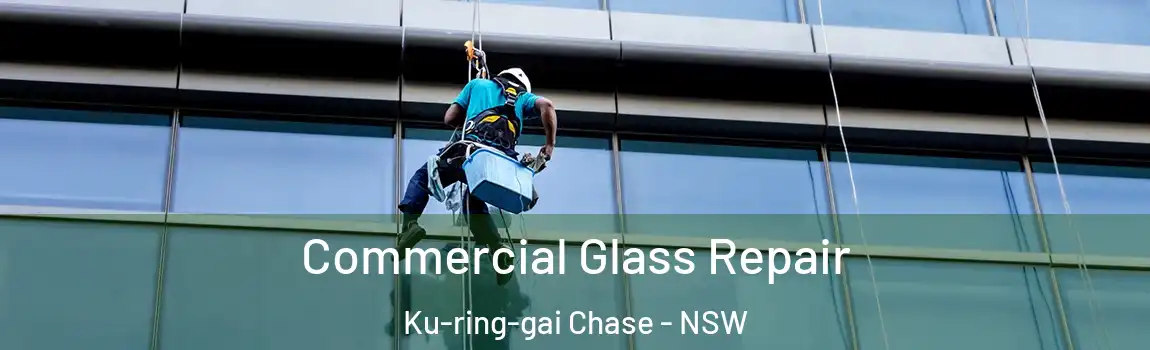  Commercial Glass Repair Ku-ring-gai Chase - NSW