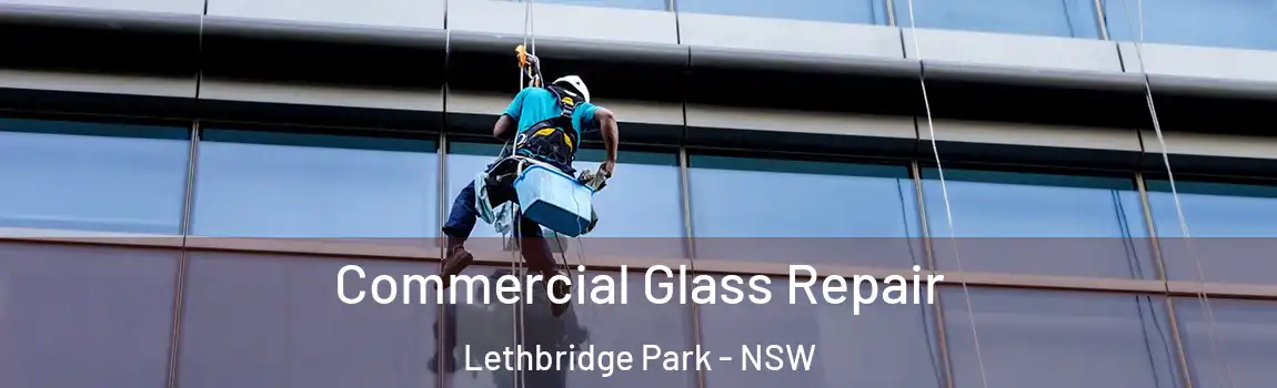  Commercial Glass Repair Lethbridge Park - NSW