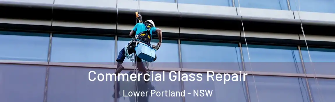  Commercial Glass Repair Lower Portland - NSW