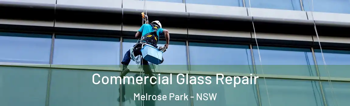  Commercial Glass Repair Melrose Park - NSW