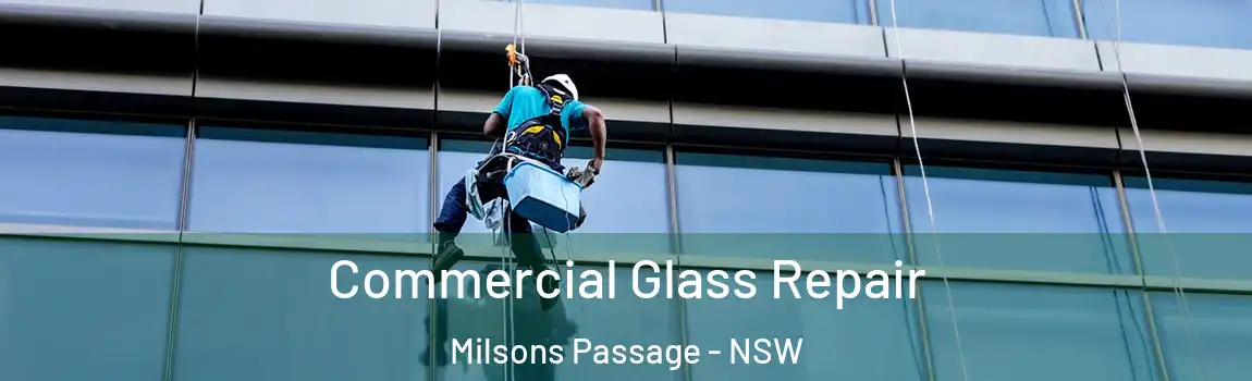  Commercial Glass Repair Milsons Passage - NSW