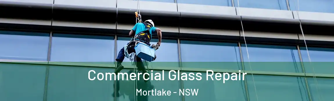  Commercial Glass Repair Mortlake - NSW