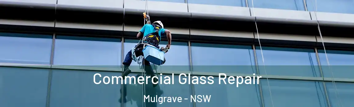  Commercial Glass Repair Mulgrave - NSW