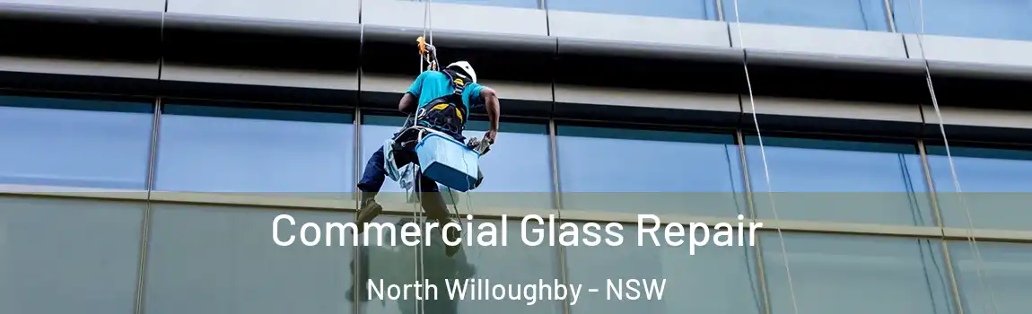  Commercial Glass Repair North Willoughby - NSW