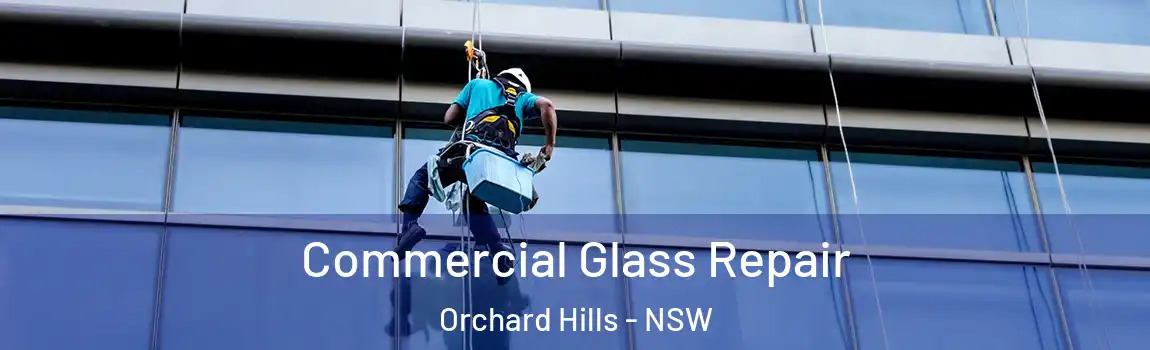  Commercial Glass Repair Orchard Hills - NSW