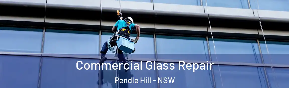 Commercial Glass Repair Pendle Hill - NSW