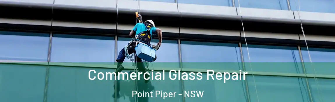  Commercial Glass Repair Point Piper - NSW