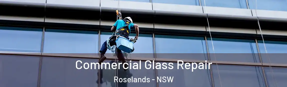  Commercial Glass Repair Roselands - NSW