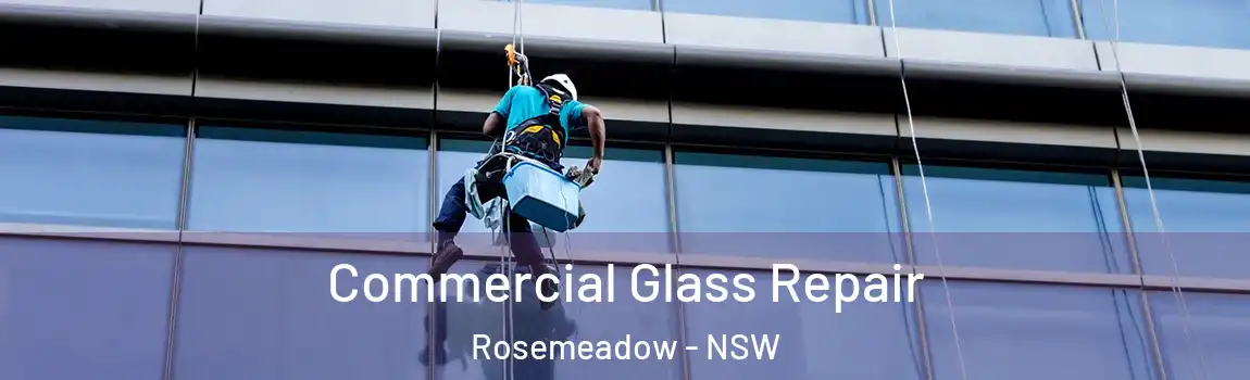  Commercial Glass Repair Rosemeadow - NSW