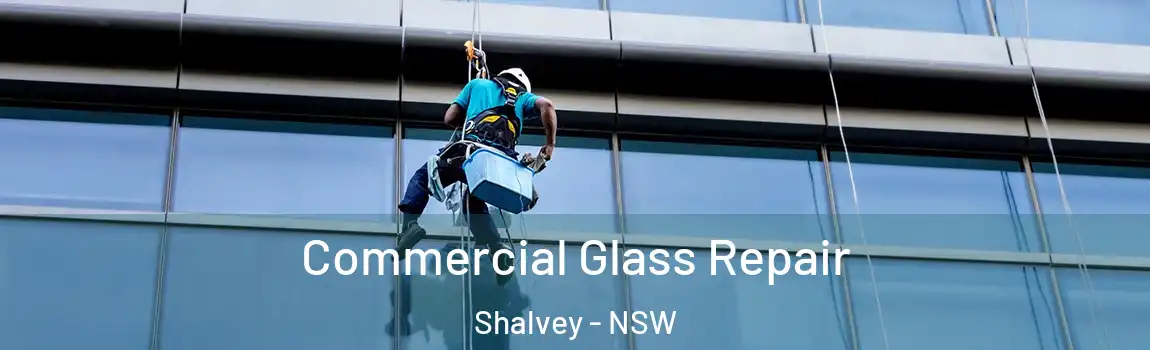  Commercial Glass Repair Shalvey - NSW