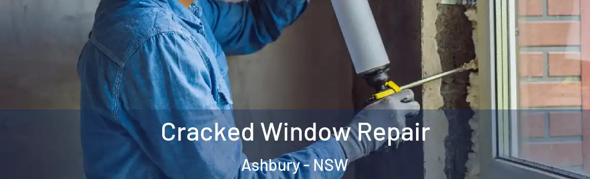  Cracked Window Repair Ashbury - NSW
