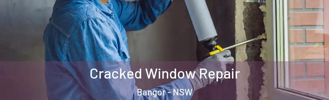  Cracked Window Repair Bangor - NSW