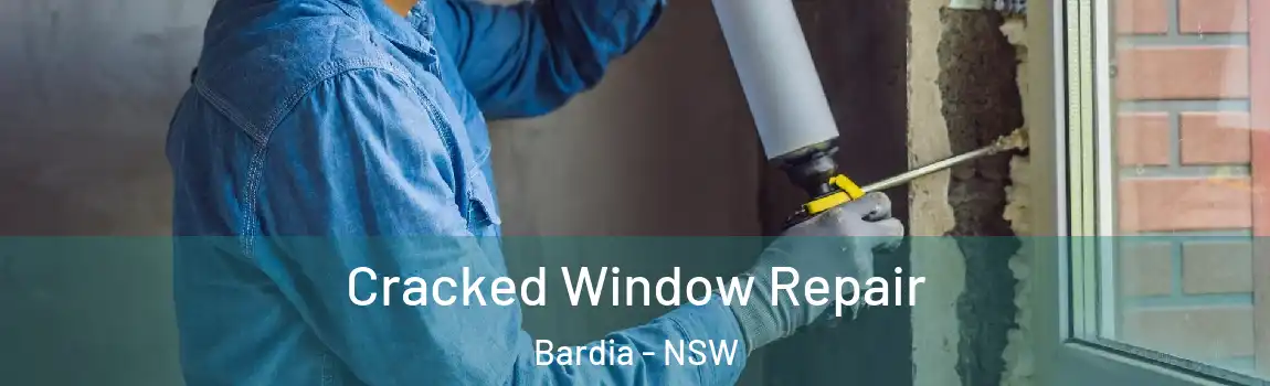  Cracked Window Repair Bardia - NSW