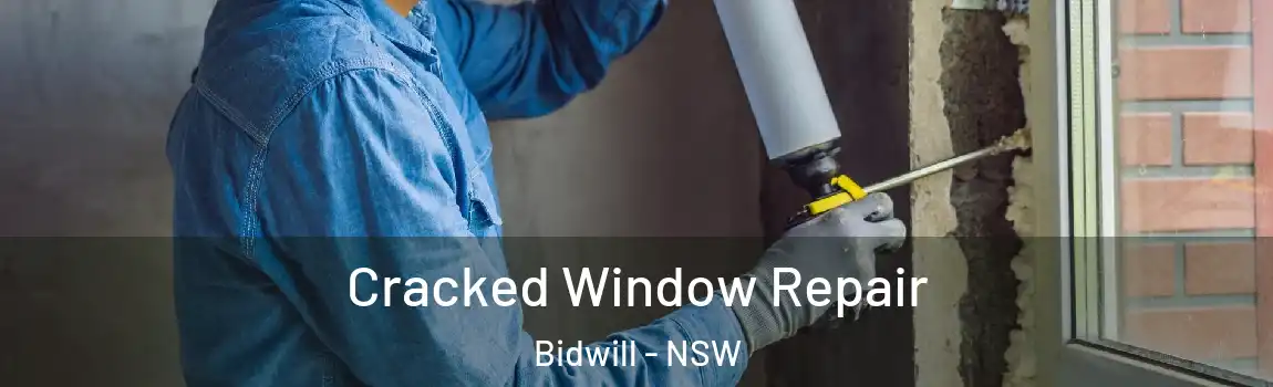  Cracked Window Repair Bidwill - NSW