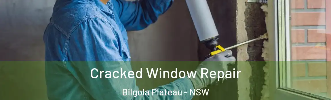  Cracked Window Repair Bilgola Plateau - NSW