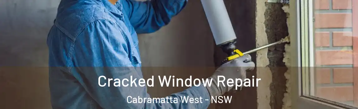  Cracked Window Repair Cabramatta West - NSW