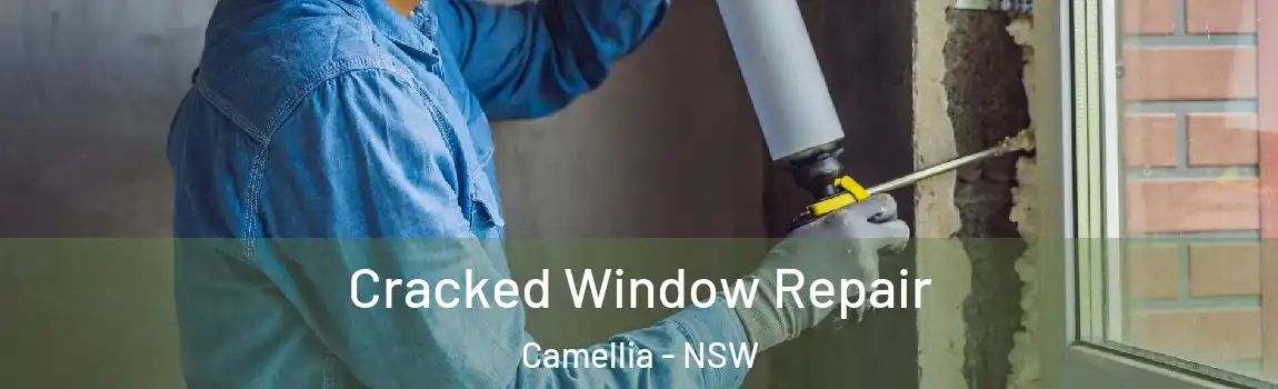  Cracked Window Repair Camellia - NSW