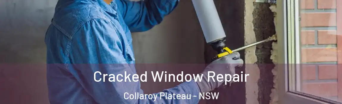  Cracked Window Repair Collaroy Plateau - NSW