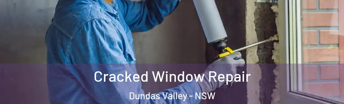  Cracked Window Repair Dundas Valley - NSW