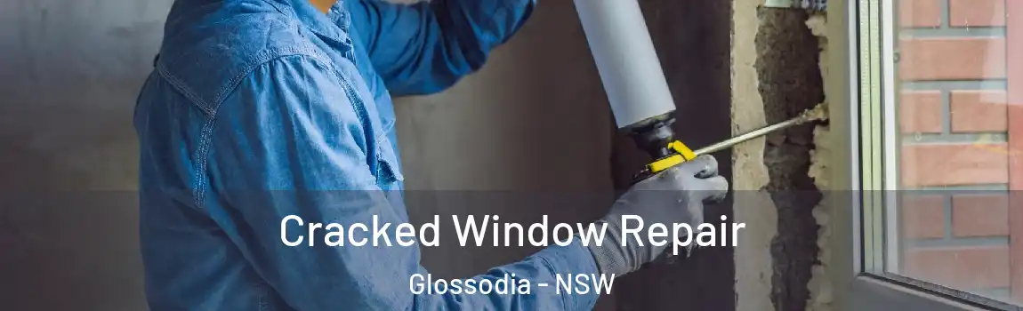  Cracked Window Repair Glossodia - NSW