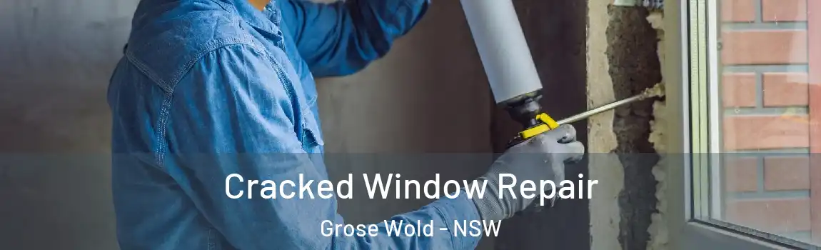 Cracked Window Repair Grose Wold - NSW