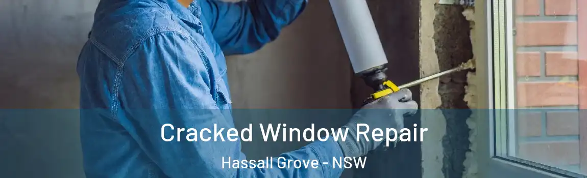  Cracked Window Repair Hassall Grove - NSW