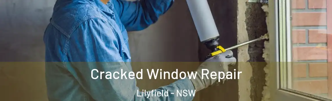  Cracked Window Repair Lilyfield - NSW