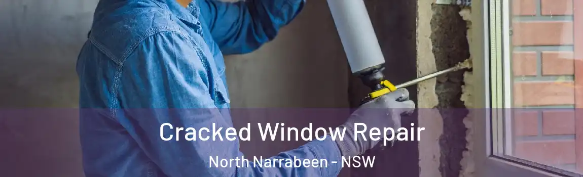  Cracked Window Repair North Narrabeen - NSW
