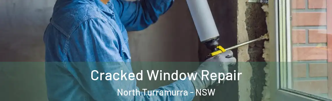  Cracked Window Repair North Turramurra - NSW