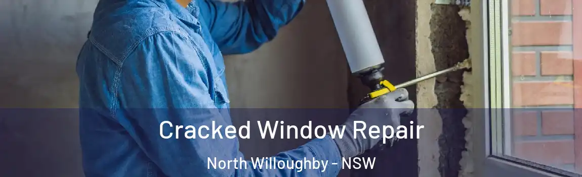  Cracked Window Repair North Willoughby - NSW