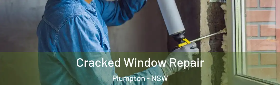  Cracked Window Repair Plumpton - NSW