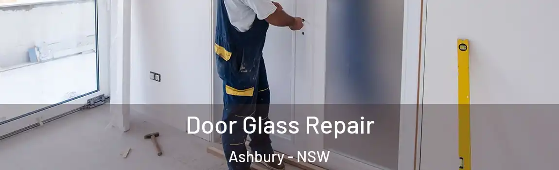  Door Glass Repair Ashbury - NSW