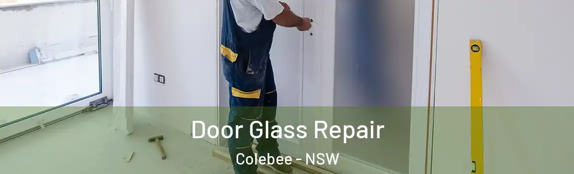  Door Glass Repair Colebee - NSW