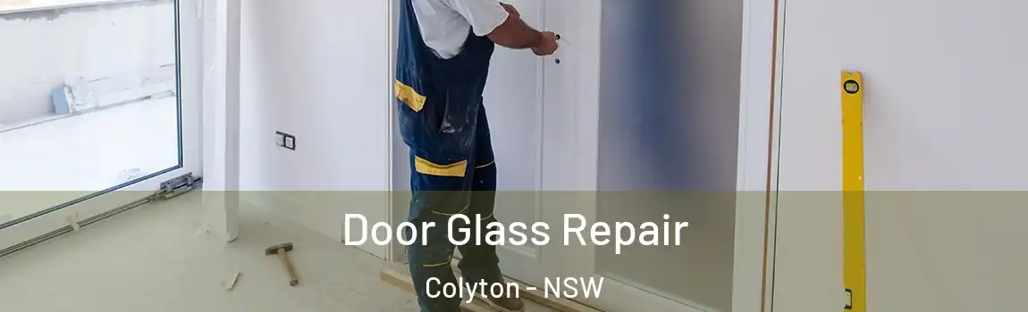  Door Glass Repair Colyton - NSW