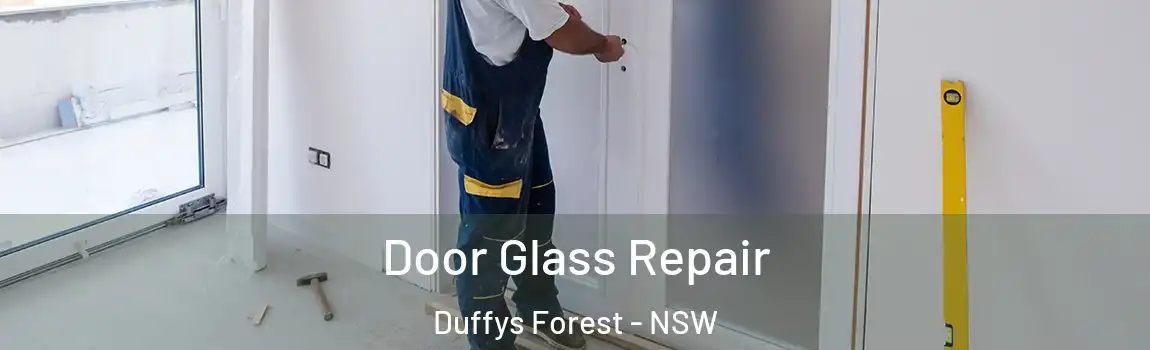  Door Glass Repair Duffys Forest - NSW