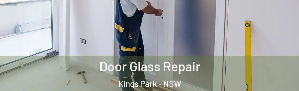  Door Glass Repair Kings Park - NSW