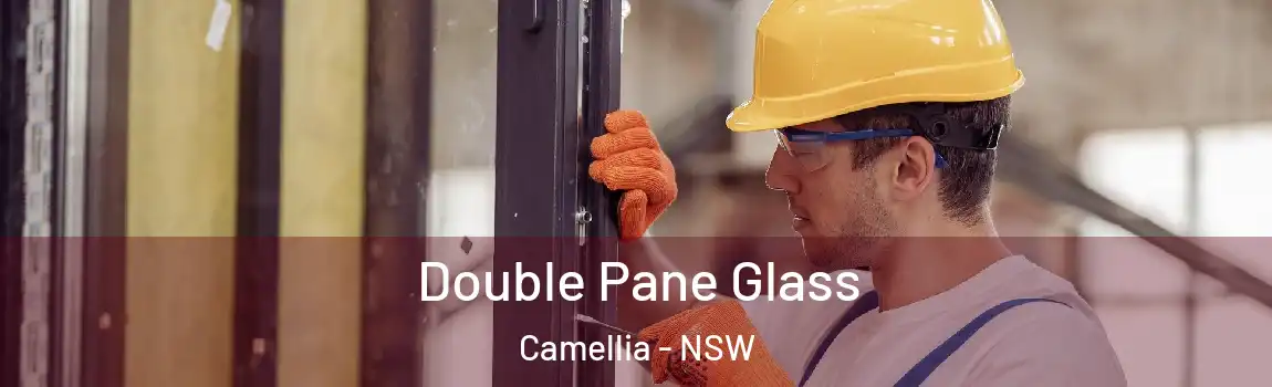  Double Pane Glass Camellia - NSW