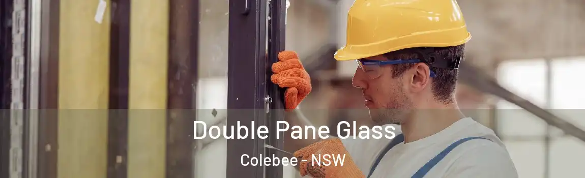  Double Pane Glass Colebee - NSW