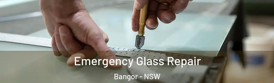  Emergency Glass Repair Bangor - NSW