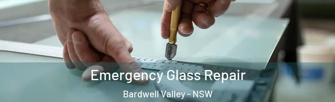  Emergency Glass Repair Bardwell Valley - NSW