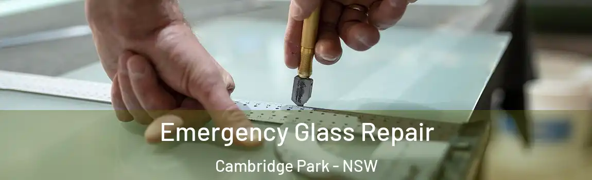  Emergency Glass Repair Cambridge Park - NSW