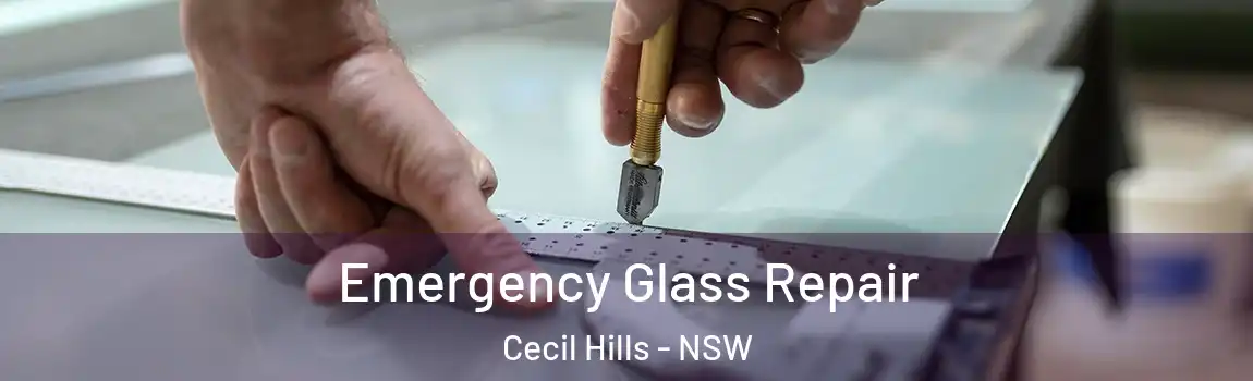  Emergency Glass Repair Cecil Hills - NSW
