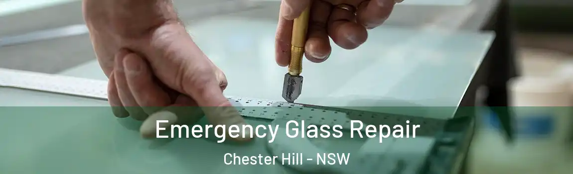  Emergency Glass Repair Chester Hill - NSW