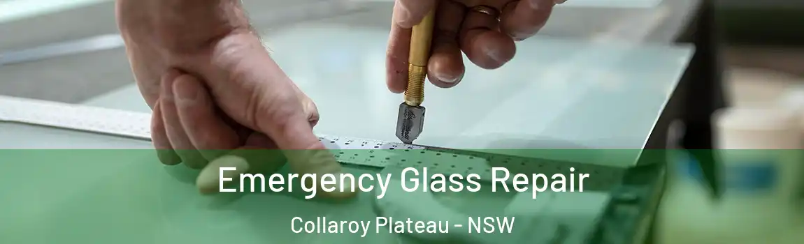  Emergency Glass Repair Collaroy Plateau - NSW