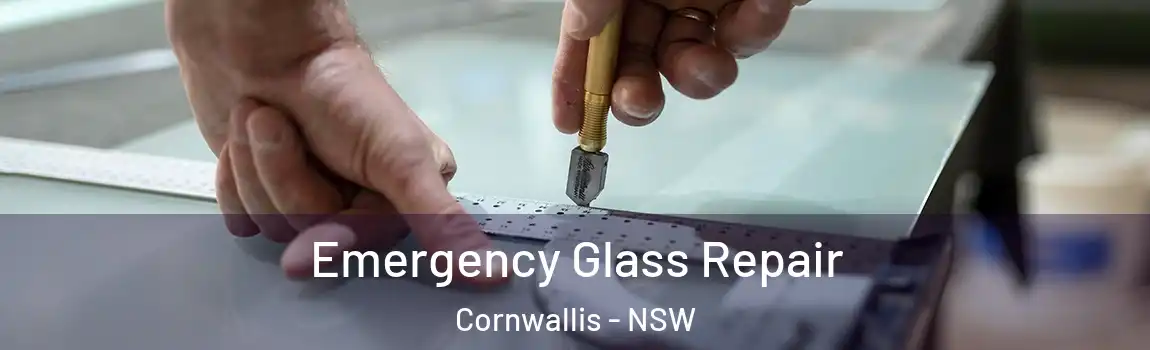  Emergency Glass Repair Cornwallis - NSW
