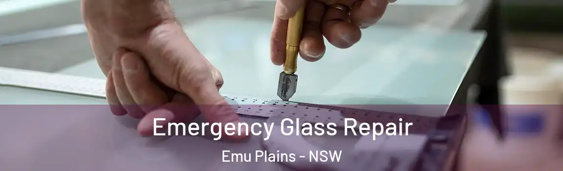  Emergency Glass Repair Emu Plains - NSW