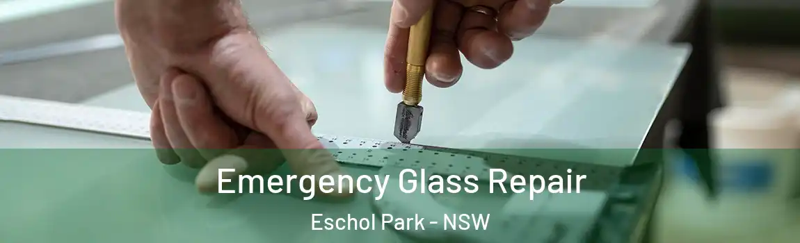 Emergency Glass Repair Eschol Park - NSW
